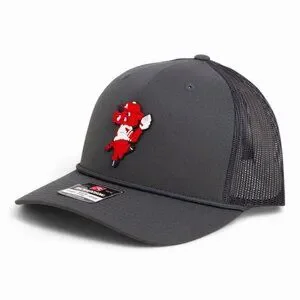 Nike | Accessories | Arkansas Razorbacks Pitching Ribby 3d Snapback ...